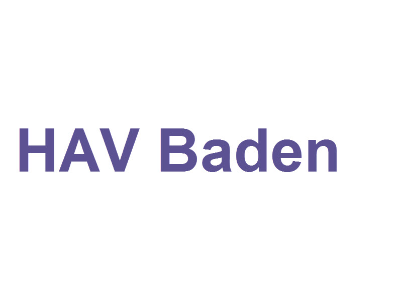 Verein Grundversorger der Region Baden